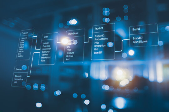Database System